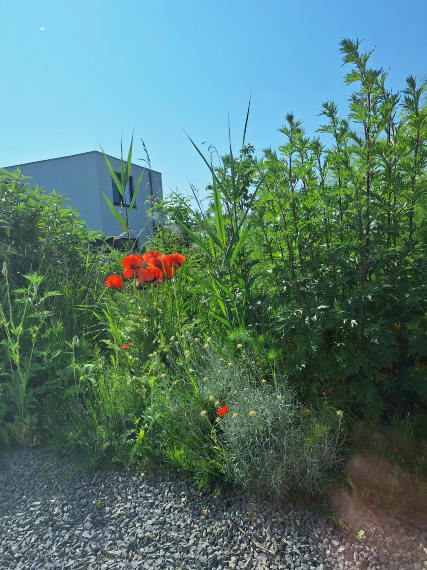 Luxury Oosterwold Almere